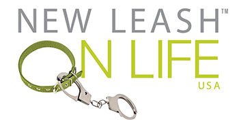 Getting the Most Out of DonorPerfect - New Leash on Life USA