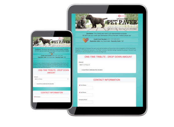 #GivingTuesday Online Donation Form
