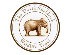David Sheldrick Wildlife Trust Logo