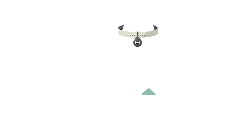 7 Ways to Start Growing Your Nonprofit Today: Fundraising Advice