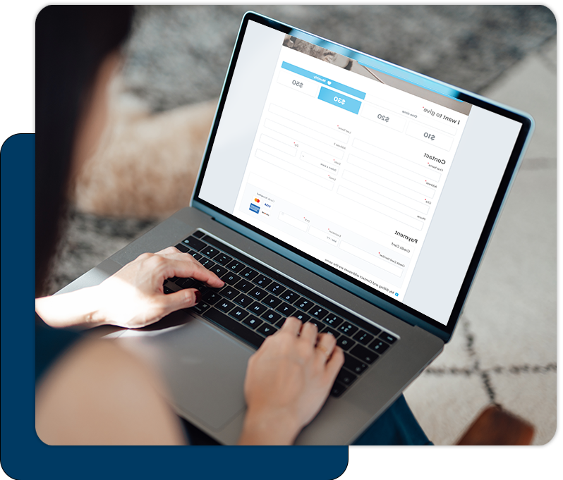 DonorPerfect Online Forms™ Online Donation Forms
