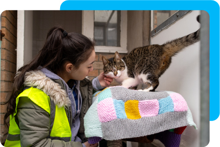 Volunteer spending time with a cat in a shelter as opposed to inputing data.