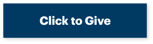 Click to give example button
