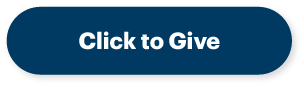 Click to give example button