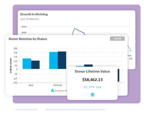 DonorPerfect Fundraising reports screenshots