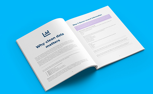 The Clean Data Checklist for Nonprofits