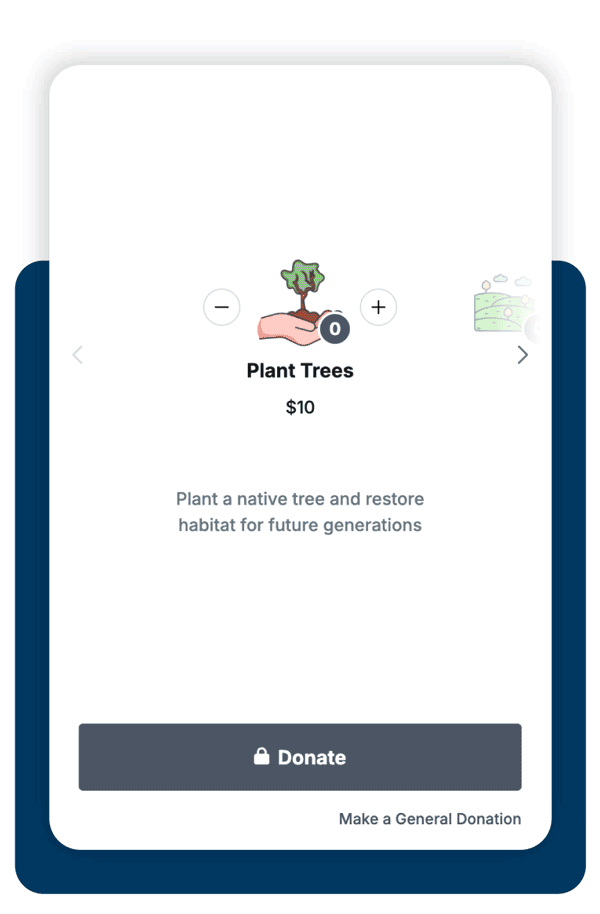 Givecloud donation impact environment