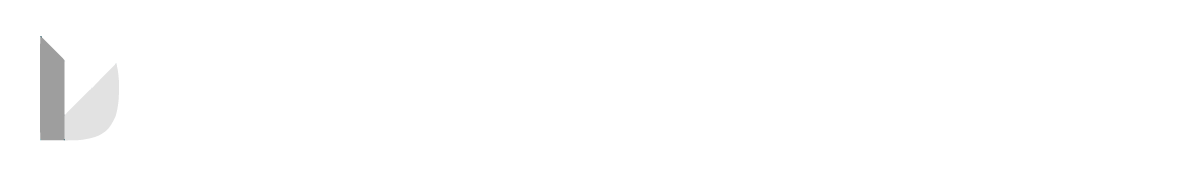 DonorSearch logo