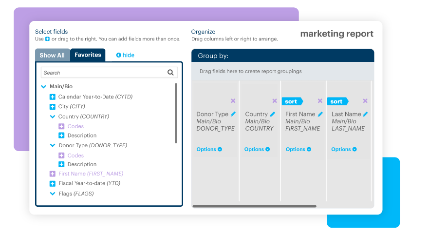 Nonprofit CRM Report Builder Screenshot