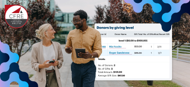 Analyze: Transform Data into Meaningful Donor Engagement