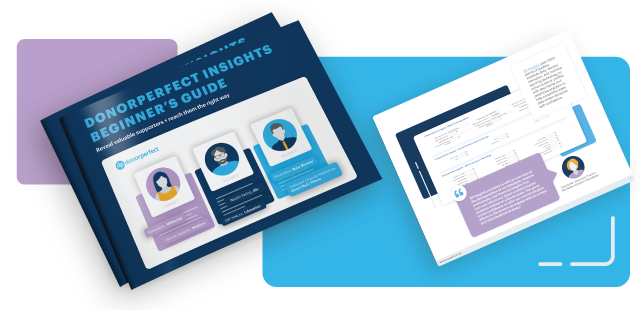 DonorPerfect Insights Beginner's Guide mockup