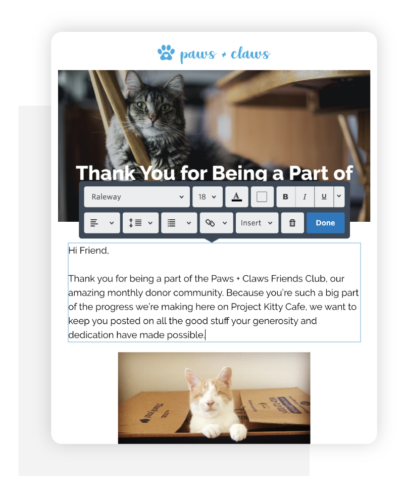 Screenshot of easy-to-use email editor that integrates with DonorPerfect