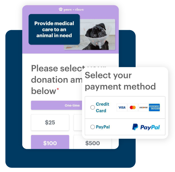 Paypal for DonorPerfect Online Forms