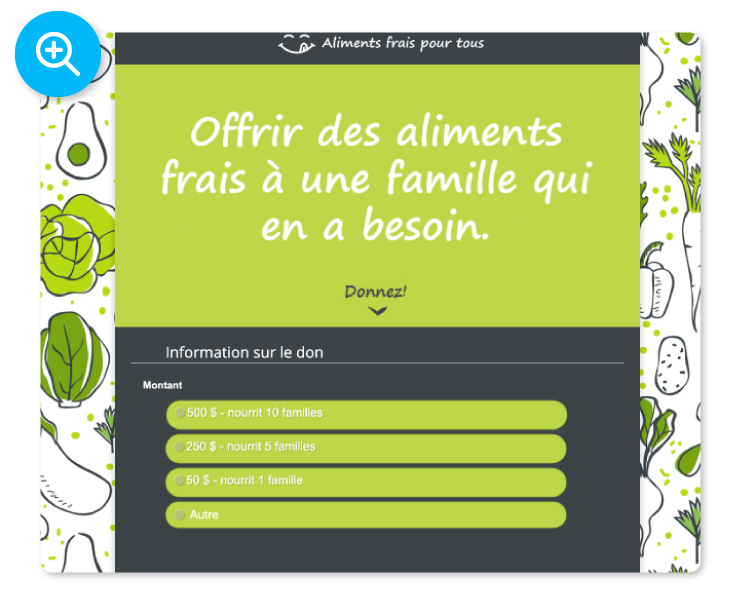 French DonorPerfect Online Form