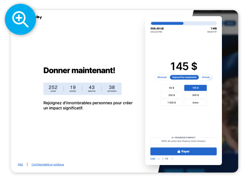 Online Donation Form Example in french