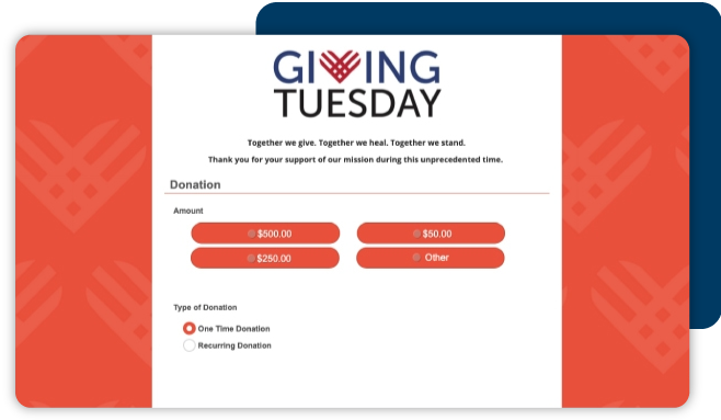 Example Giving Tuesday form made with DonorPerfect Online Forms 