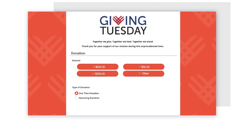 Example GivingTuesday Donation Form