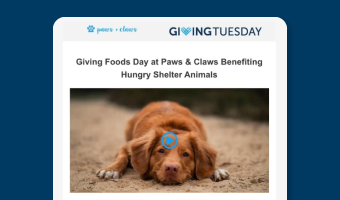 How to Use Digital Tools to Drive Donations on Giving Tuesday