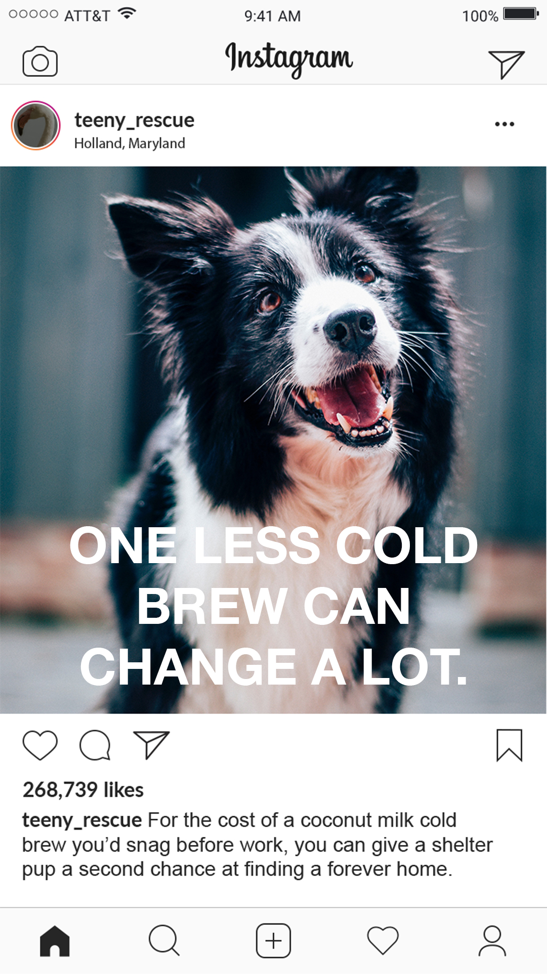 Giving Tuesday Animal Rescure Social Media Example Post