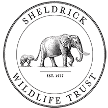 Shedrick Wildlife trust logo