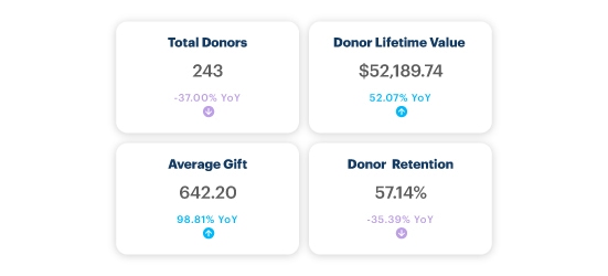 Customizable Donation Metrics Dashboard Report Screenshot