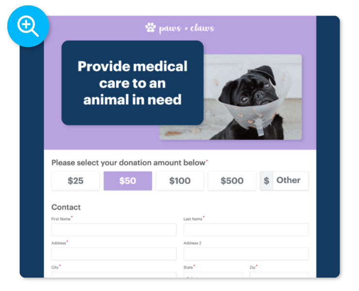 DonorPerfect Online Donation Form Example: Provide Medical Care to an animal in need