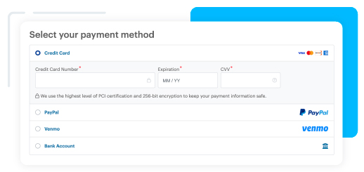 Modern online forms payment options