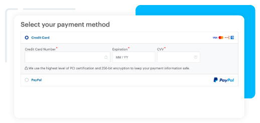 Modern online forms payment options