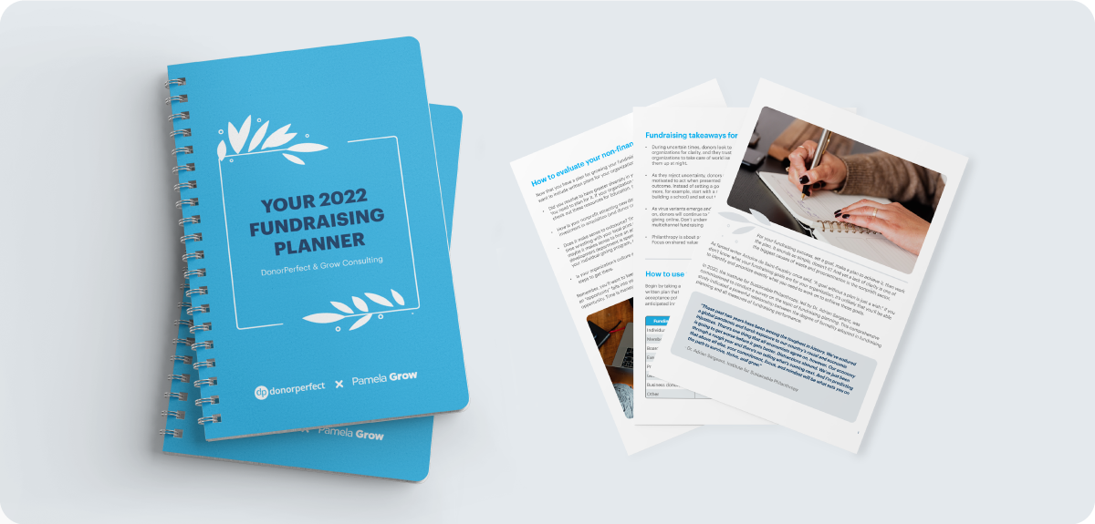 examples of the 2022 Fundraising Planner 