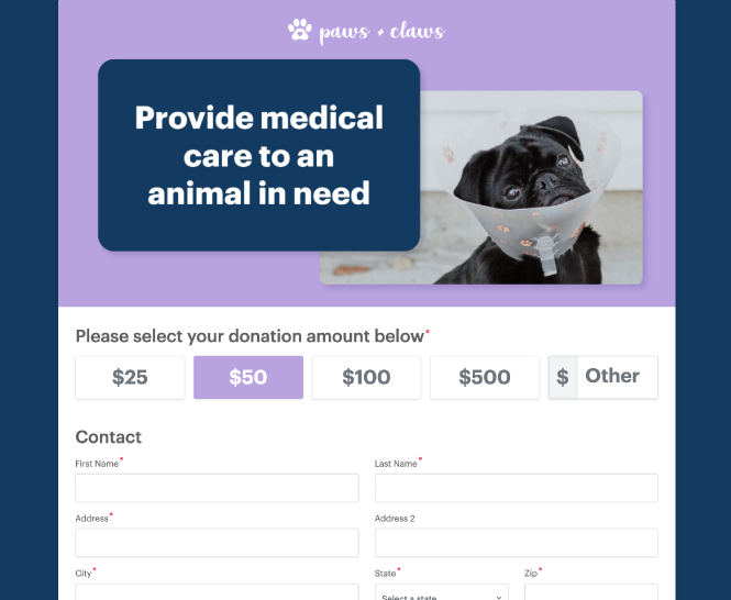 Paws & Claws Example Donation Form