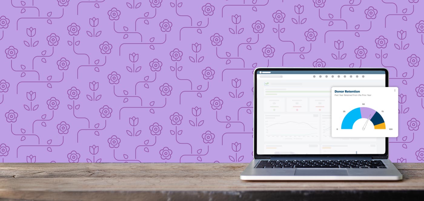 DonorPerfect Software Desktop