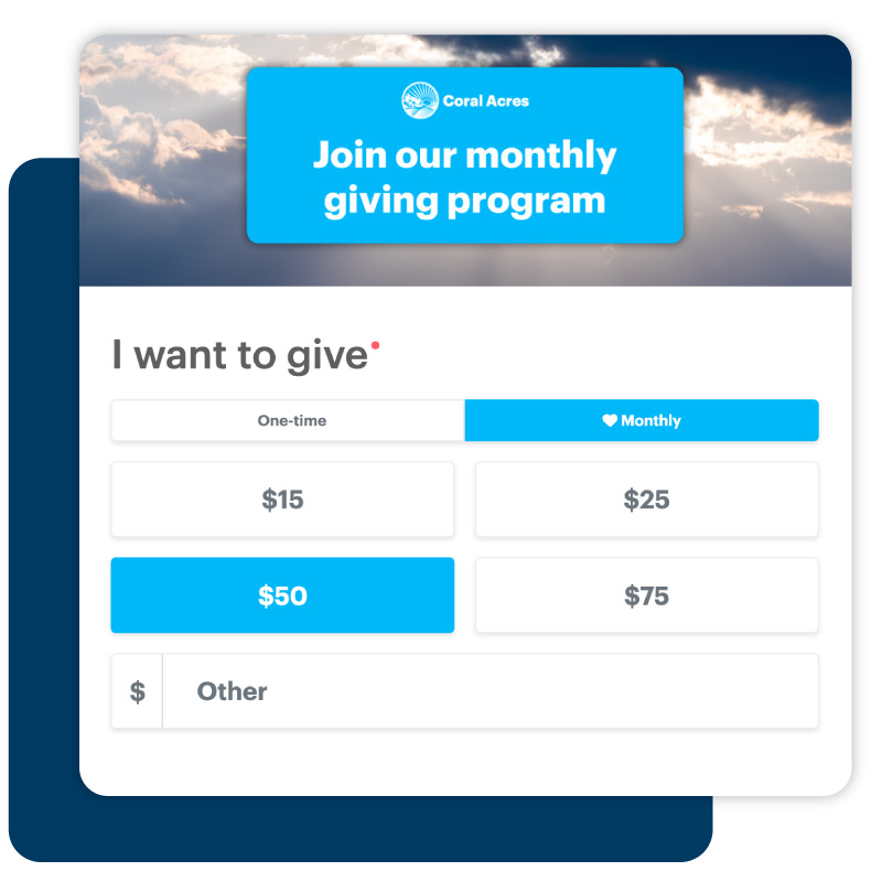 DonorPerfect Donation Form example