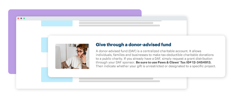 example of callout on a nonprofit's ways to donante page, encouraging people to set up a Donor Advised Fund