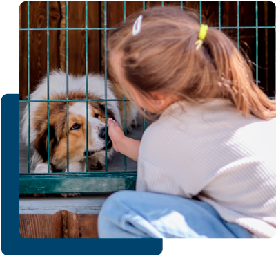 a girl petting a dog through a shelter fence