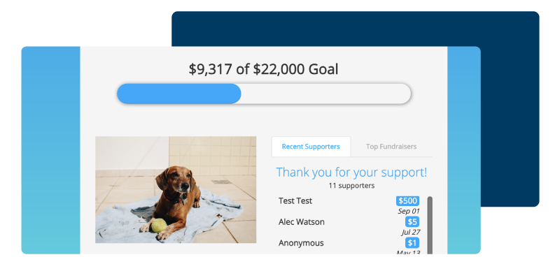 Crowdfunding Form Screenshot