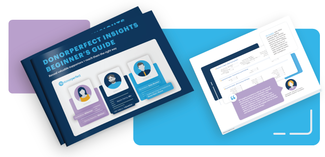 the DonorPerfect Insights Beginner's Guide