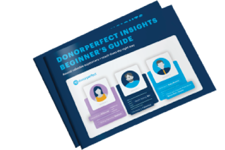 the DonorPerfect Insights Beginner's Guide