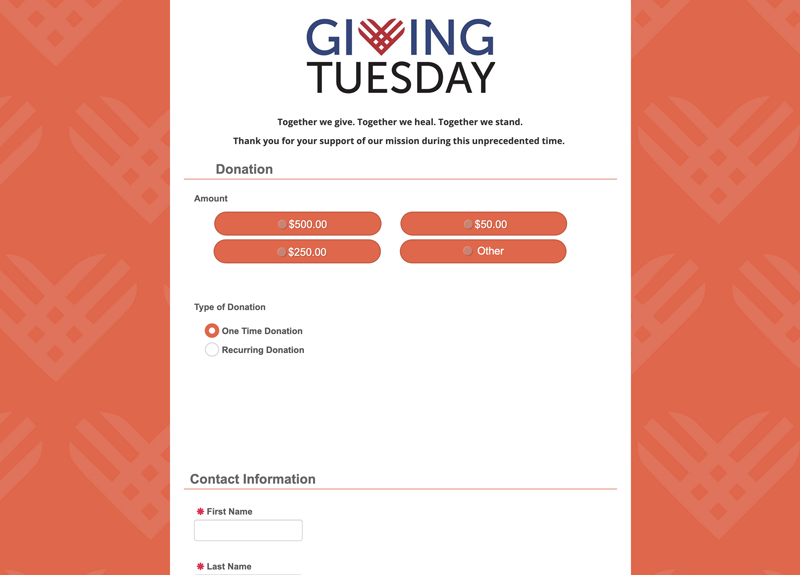 Screenshot of optimized online donation form used by nonprofit on GivingTuesday
