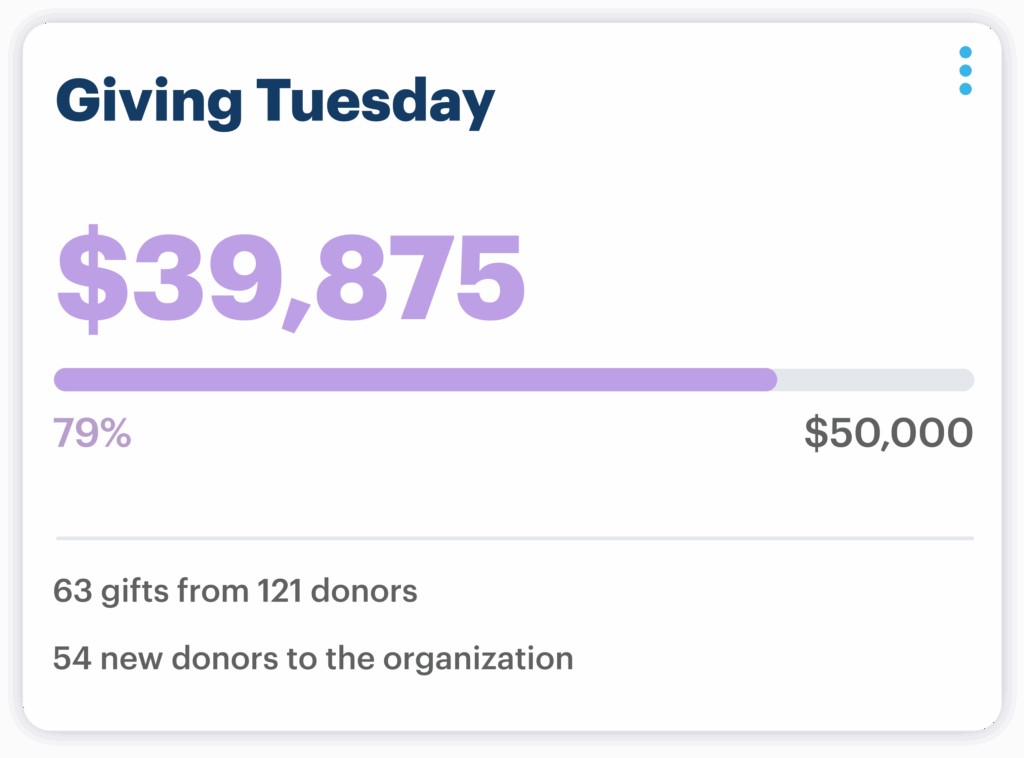 Giving Tuesday Goal Meter