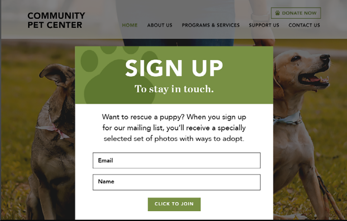 an example of a bold pop-up form