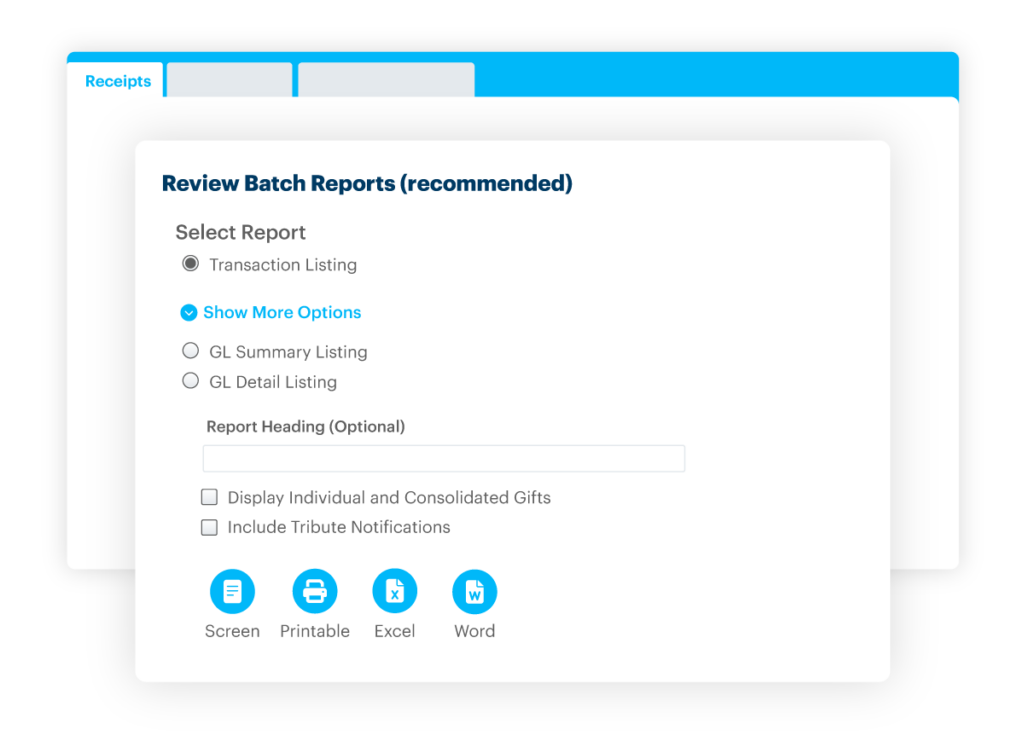 DonorPerfect batch report screen 