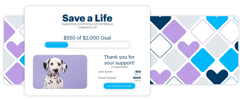 Example Crowdfunding page in DonorPerfect with goal bar, previous donations, etc
