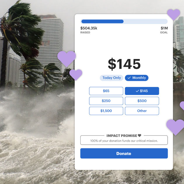 Online donation to help support after a natural disaster