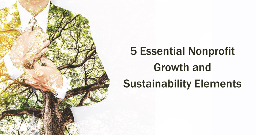 5 Essential Nonprofit Growth and Sustainability Elements