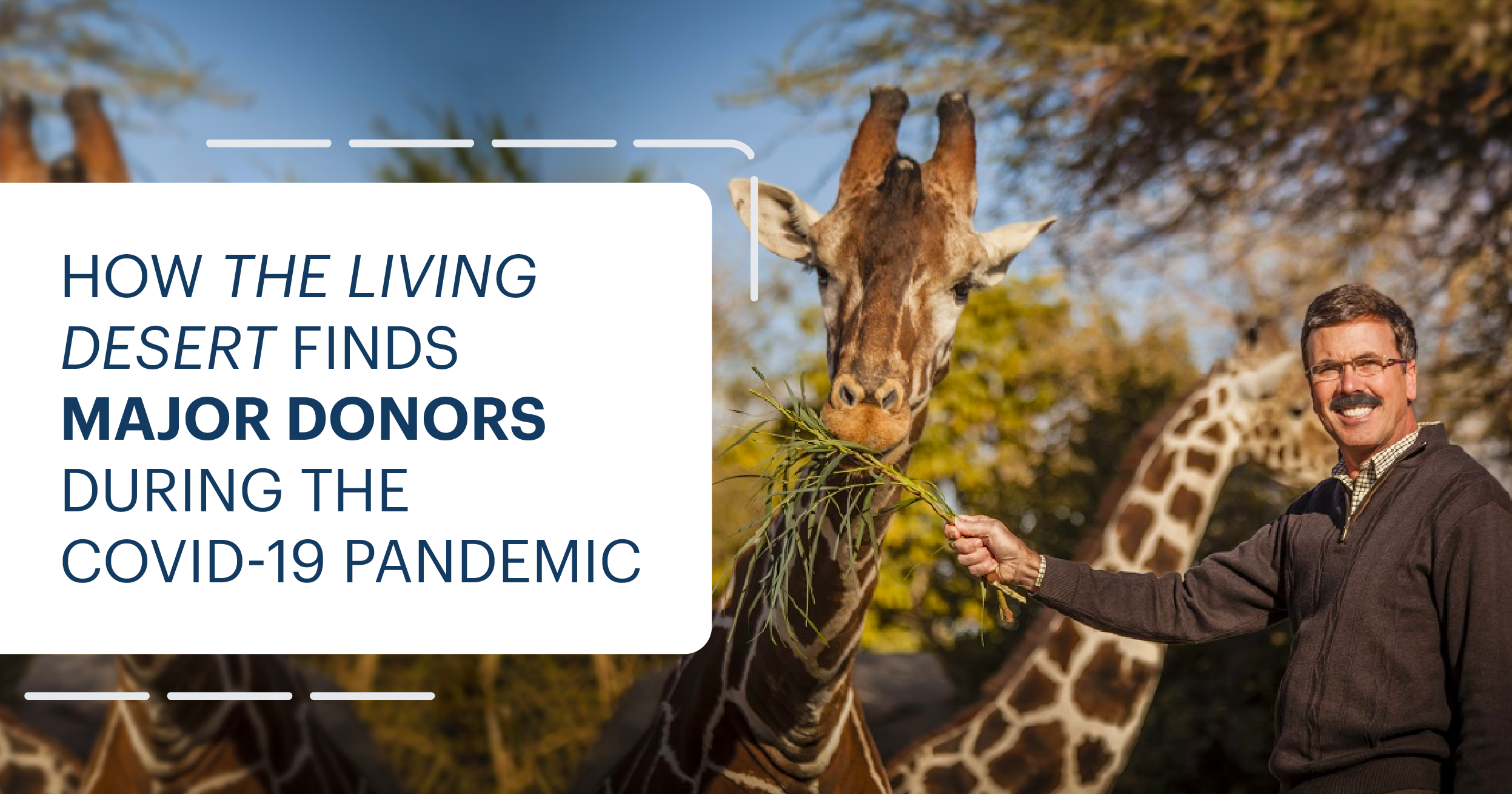 CEO of The Living Desert feeding a giraffe, How The Living Desert Finds Major Donors During the COVID-19 Pandemic