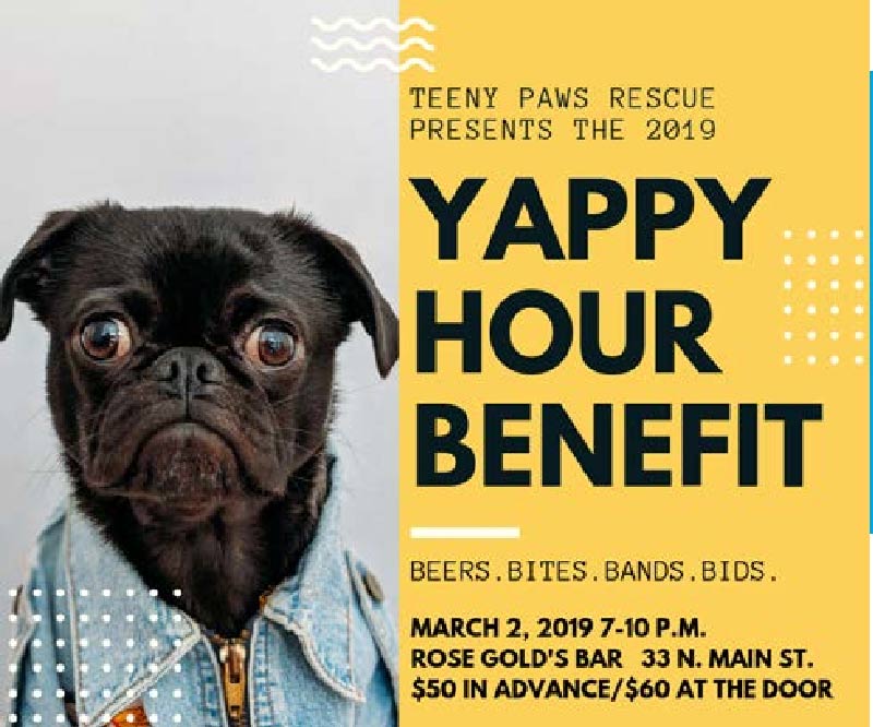 Yappy Hour Benefit