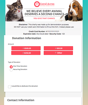 Example Online Donation Form Screenshot