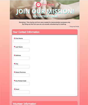 Example Online Volunteer Signup Form Screenshot