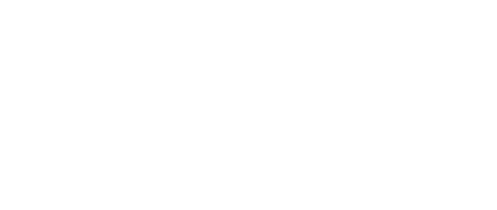 DP Text logo in white and smaller
