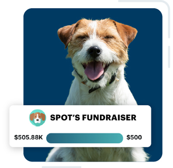 Spots Fundraiser Givecloud